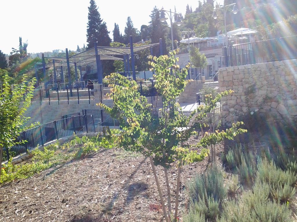 Rosary Sister Guest House Ein Karem 예루살렘 외부 사진
