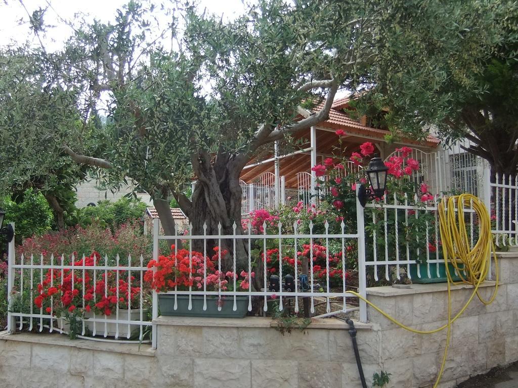 Rosary Sister Guest House Ein Karem 예루살렘 외부 사진