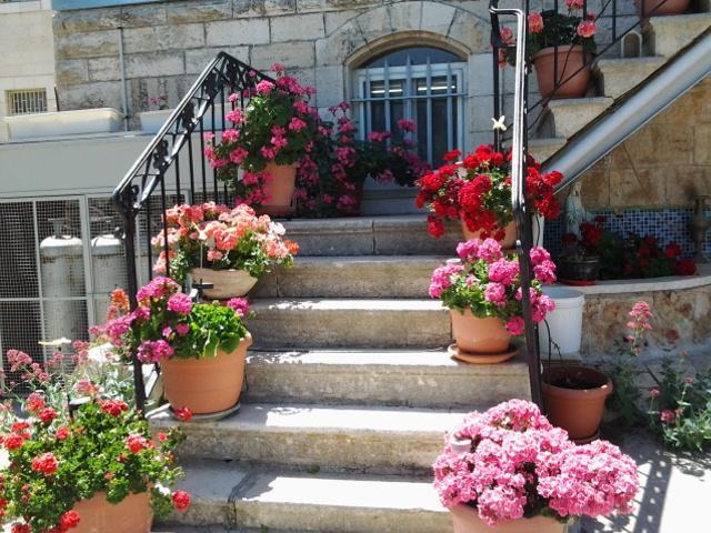 Rosary Sister Guest House Ein Karem 예루살렘 외부 사진